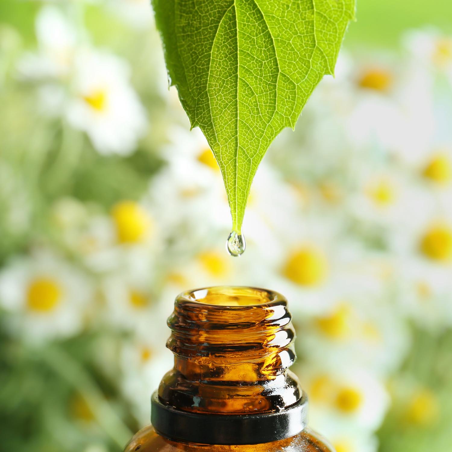 Aromathérapie 5 Aromathérapie et huiles essentielles, Pharmacie Sainte Flaive des Loups